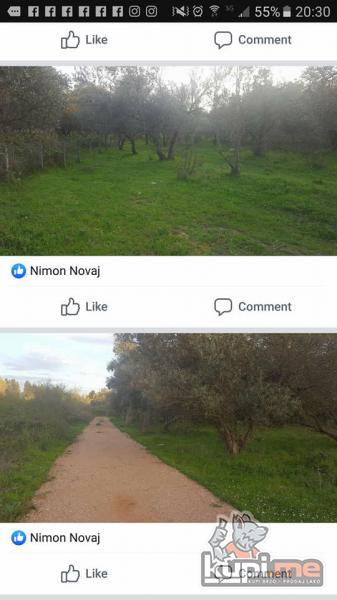 Plac 600 m2