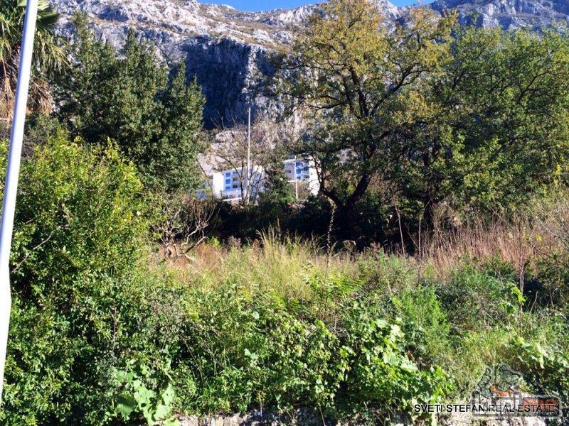 Plac povrsine 1000m2, Dobrota, Kotor
